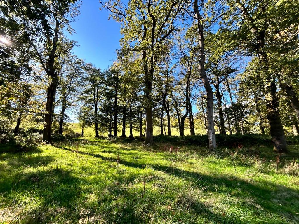 Photo 08-10-2025, 14 30 30.jpg