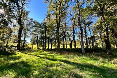 undefined, Lot 3: Approximately 2.41 Acres of Woodland, Llwynrhyddid Farm, Hensol