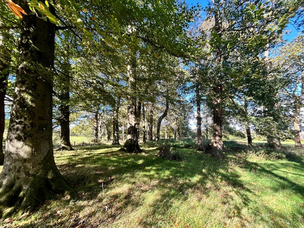 Photo 08-10-2025, 14 31 12.jpg