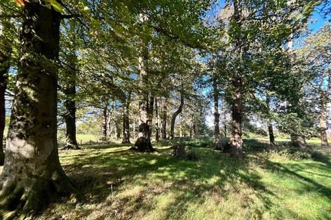 undefined, Lot 3: Approximately 2.41 Acres of Woodland, Llwynrhyddid Farm, Hensol