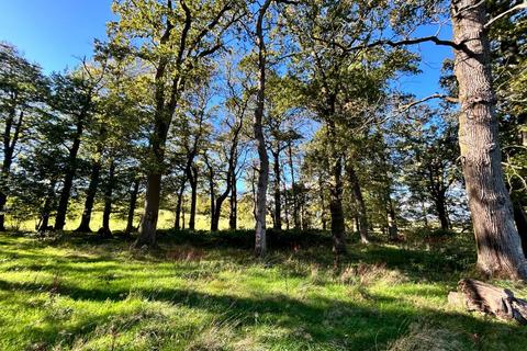 undefined, Lot 3: Approximately 2.41 Acres of Woodland, Llwynrhyddid Farm, Hensol