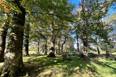 undefined, Lot 3: Approximately 2.41 Acres of Woodland, Llwynrhyddid Farm, Hensol