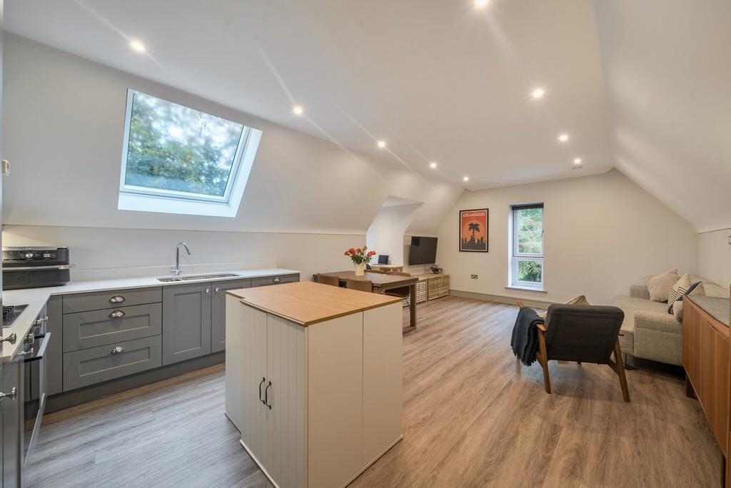 Kitchen / Living