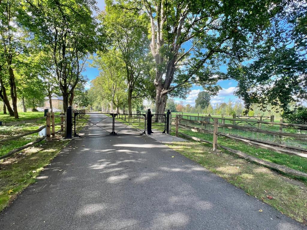 Grounds