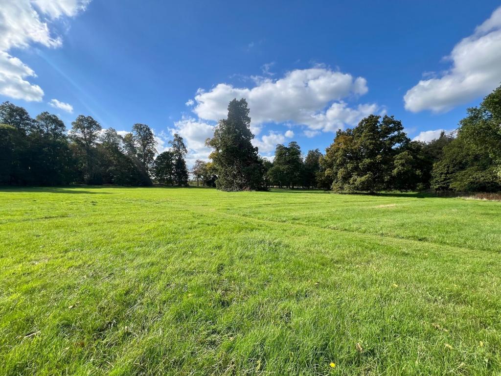 Grounds