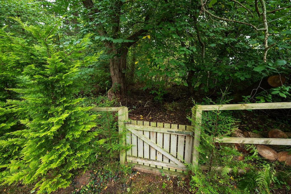 Gateway To Woods
