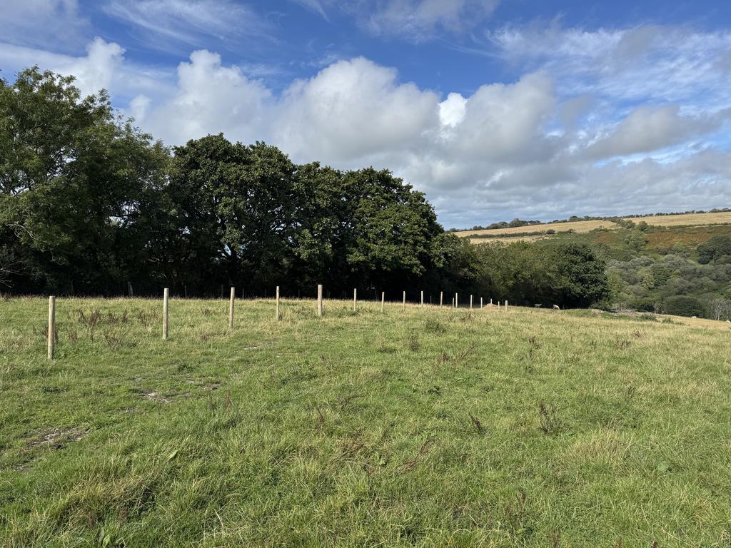 The land