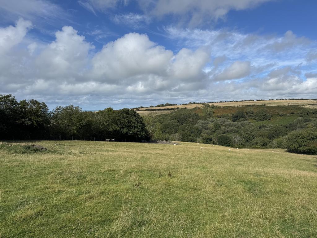 The land