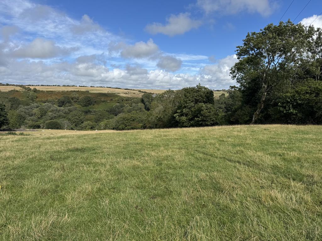The land