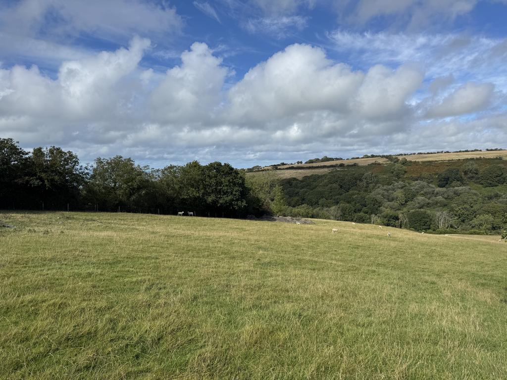 The land