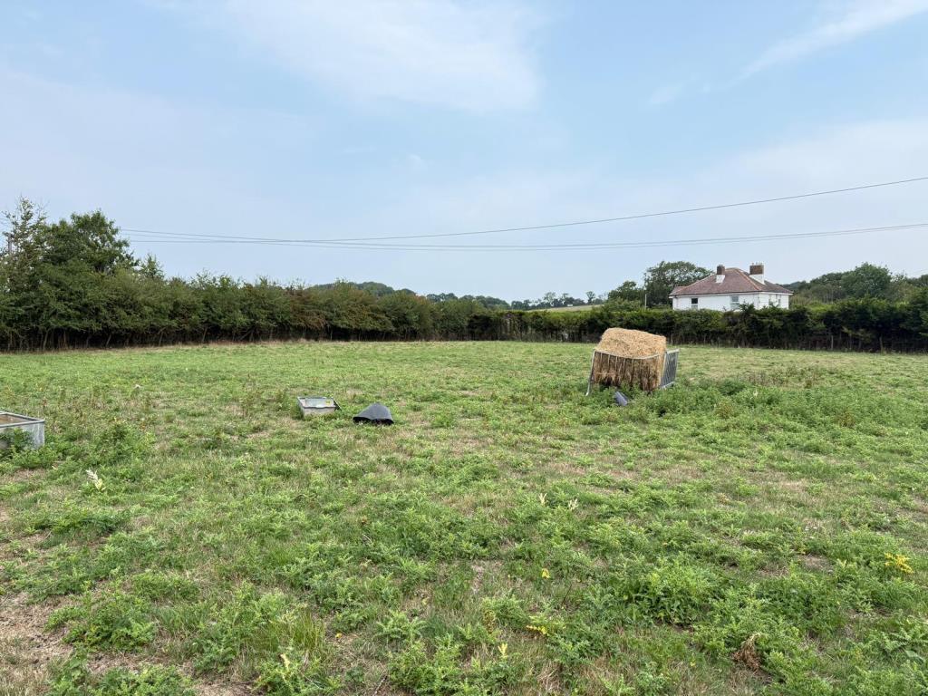 View of grazing field