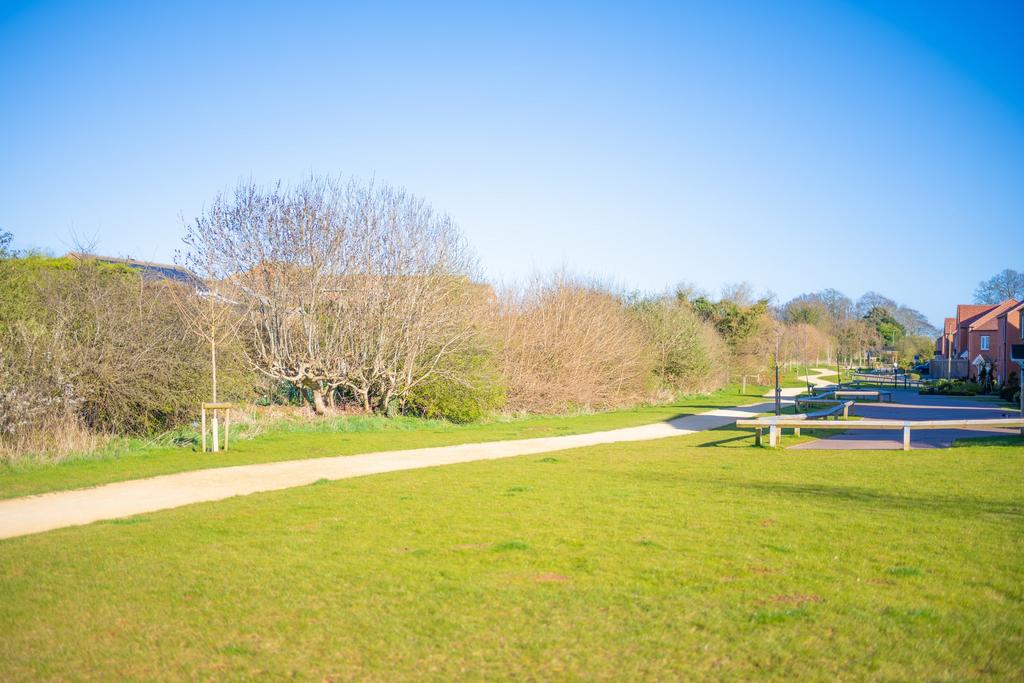 Picture 14