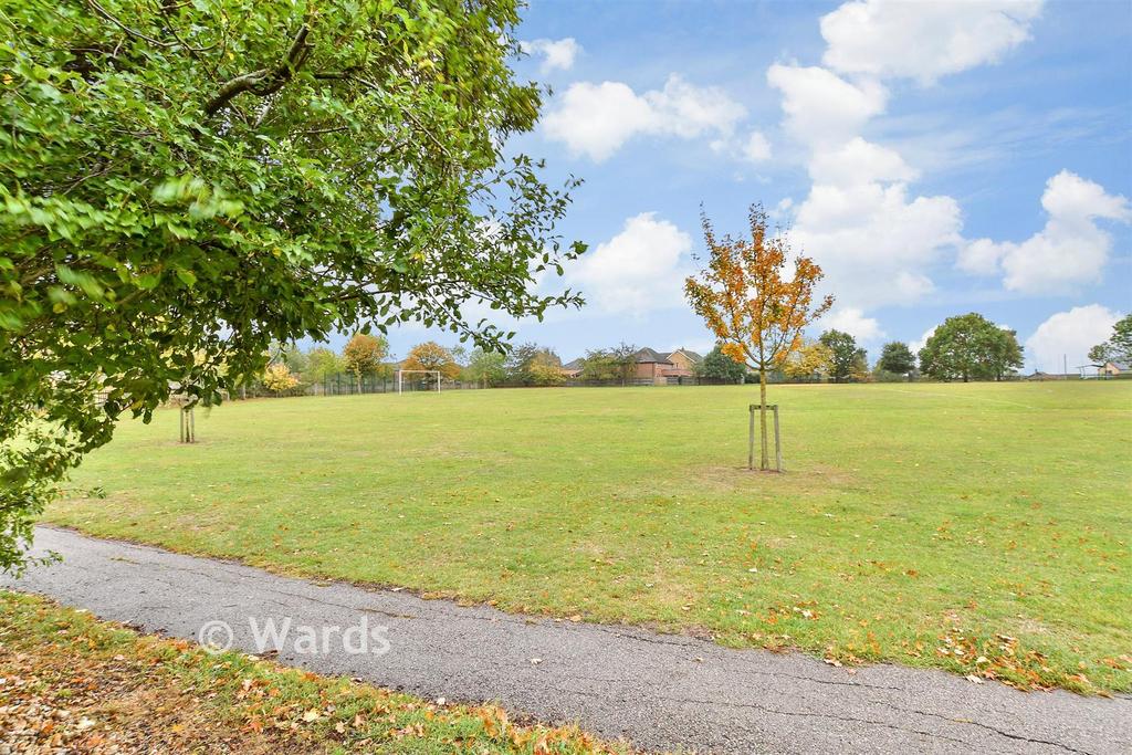 Surrounding Area
