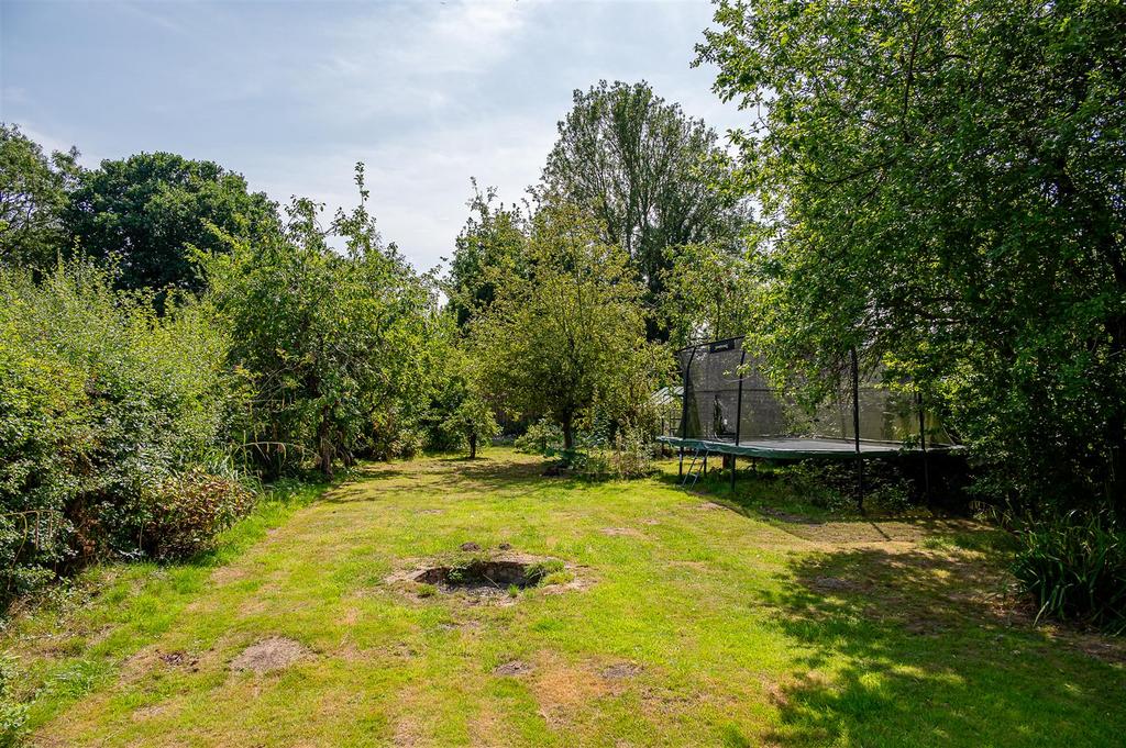 Garden 2