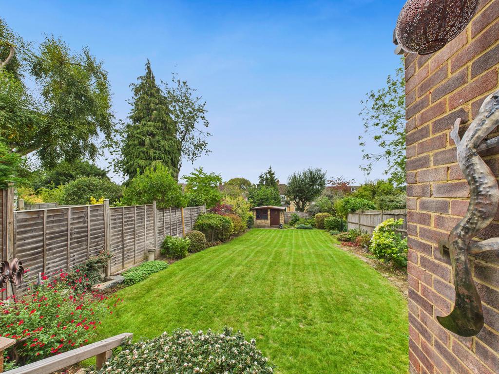 Cam02909 g0 pr0498 still012