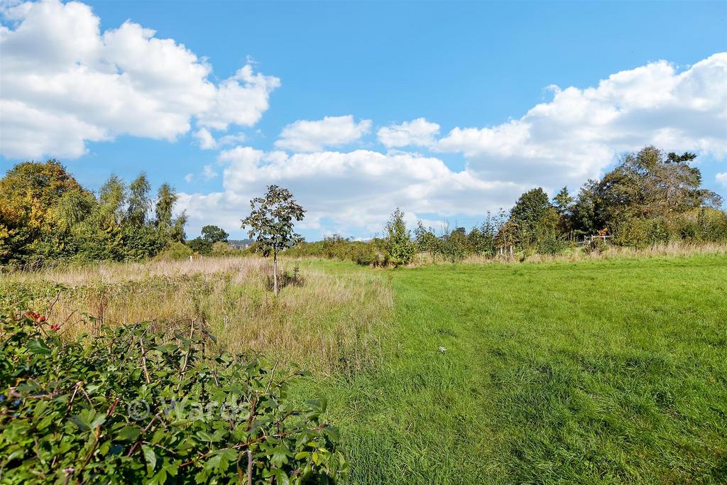 Surrounding Area