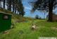 Additional image 31 of Hendreforgan, Gilfach Goch, Rhondda Cynon Taff, CF39