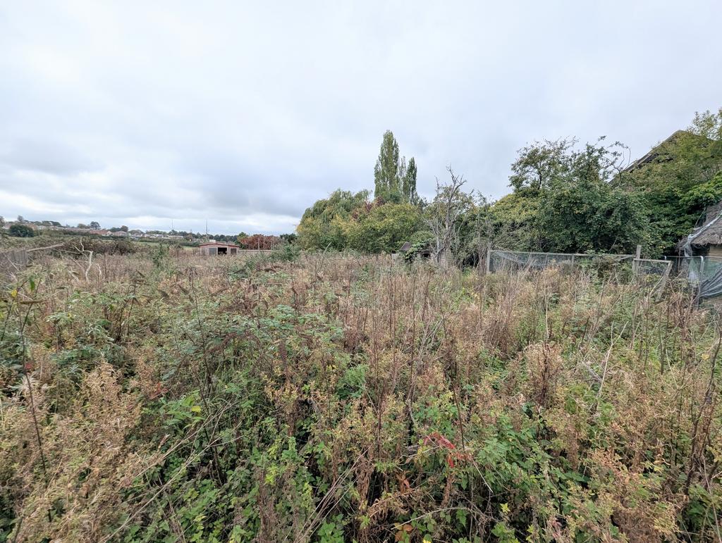 1000033286 T202510090957.jpg