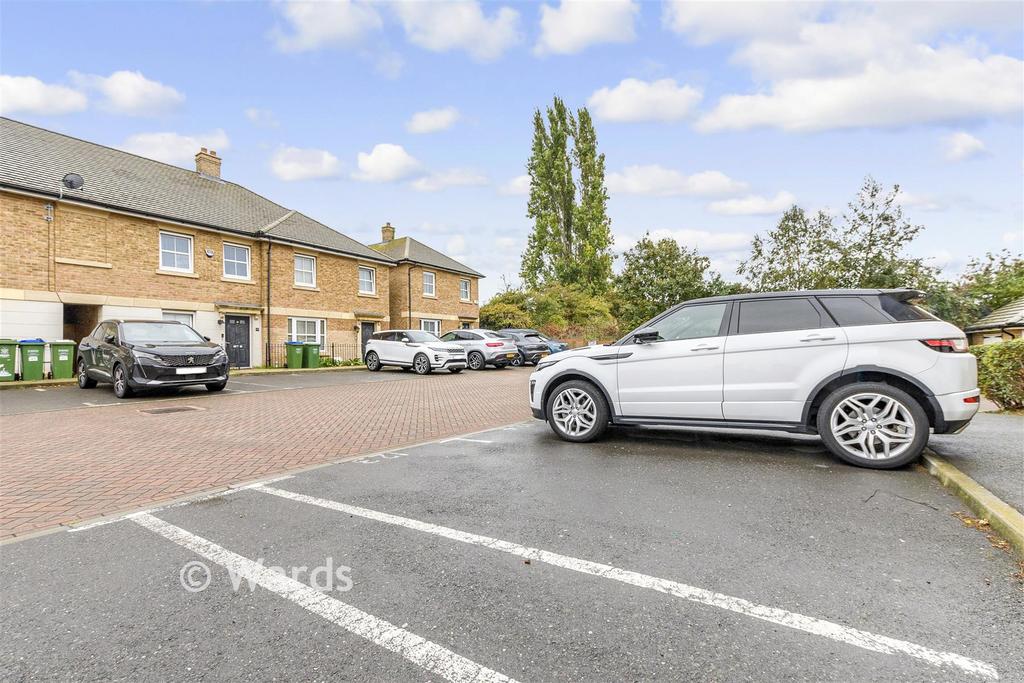 Driveway/Parking