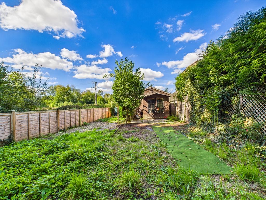 Back Garden