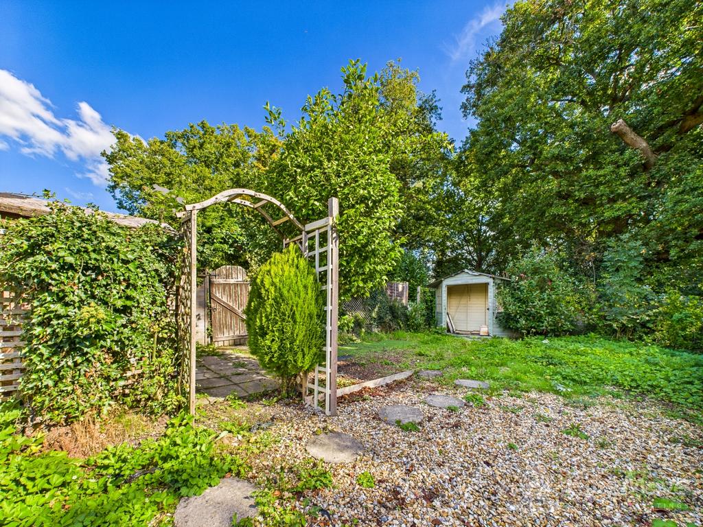 Back Garden