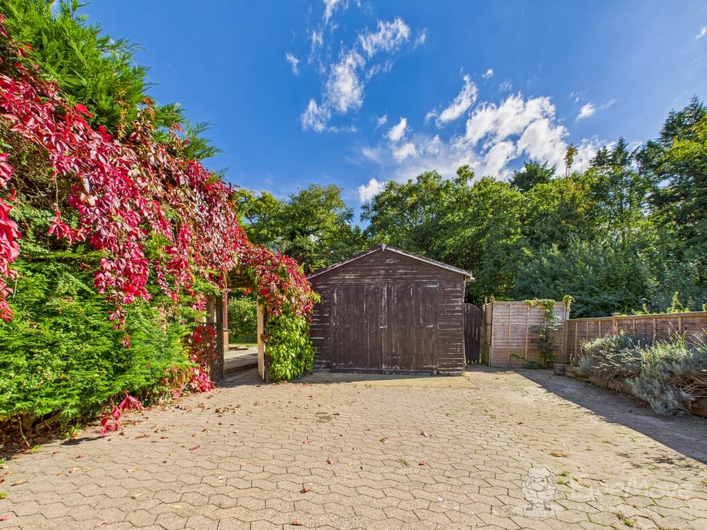 Driveway and Garage