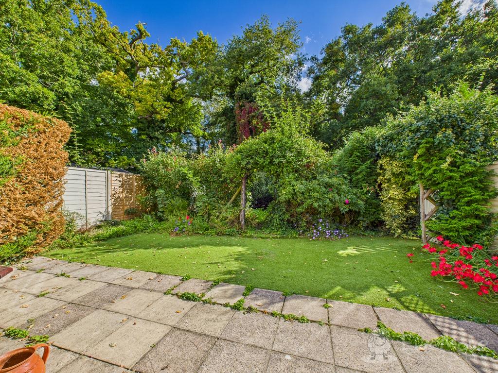 Back Garden