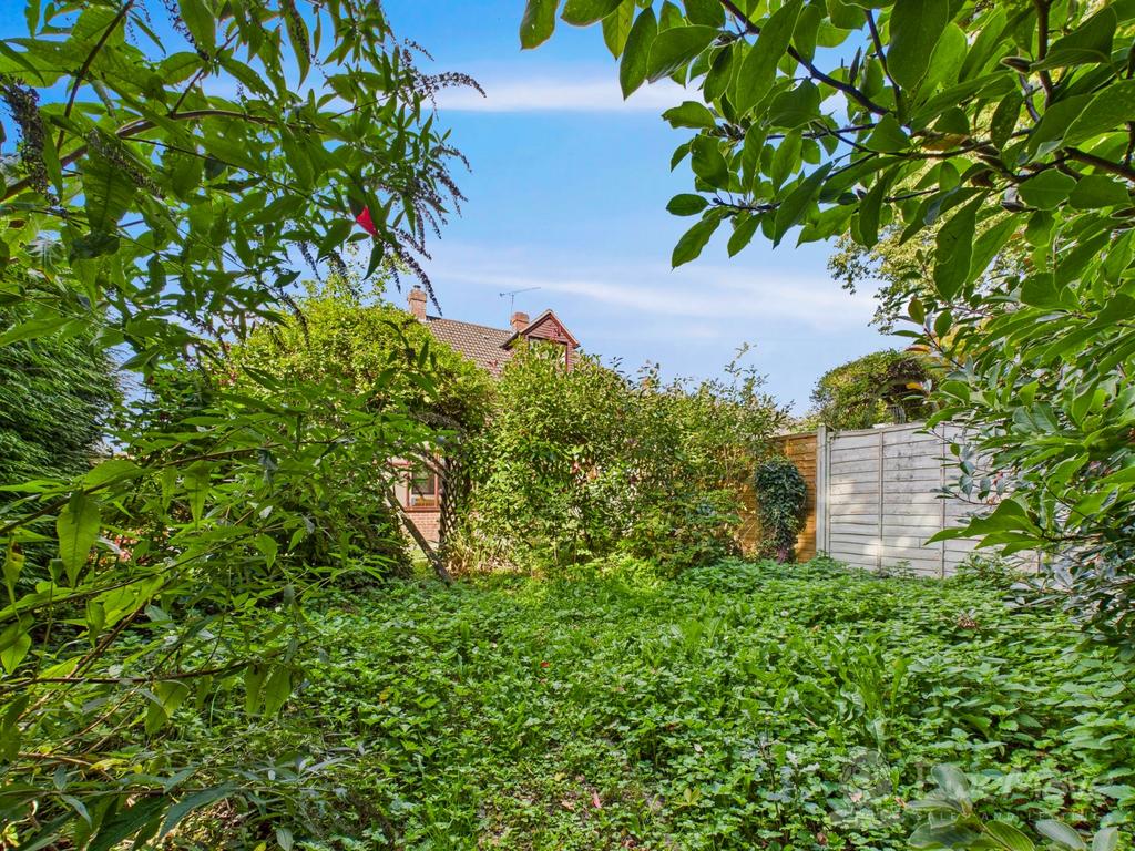 Back Garden