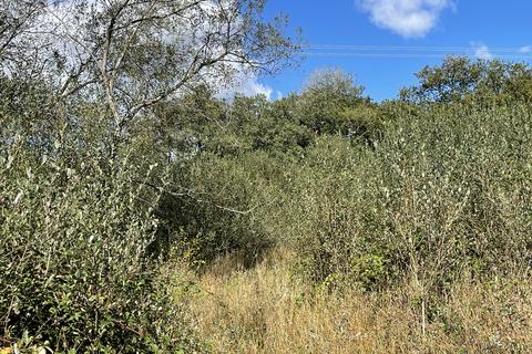 undefined, Coed Wern Isaf, Llangynog SA33