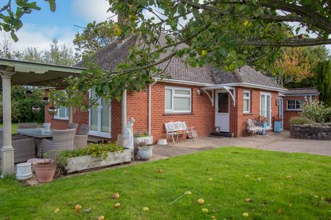 3 bedroom detached bungalow for sale, Church Lane, Alfington