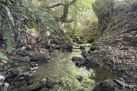 undefined, Coed Wern Uchaf, Llangynog SA33