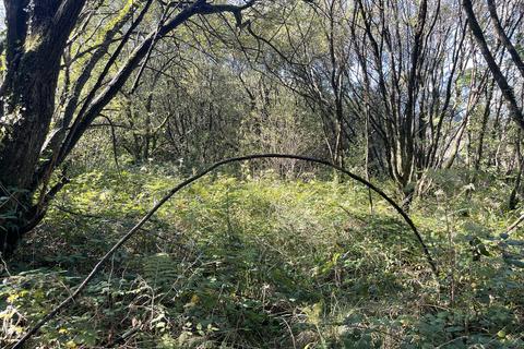undefined, Coed Wern Uchaf, Llangynog SA33