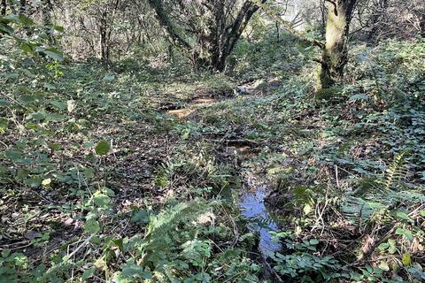 undefined, Coed Wern Uchaf, Llangynog SA33