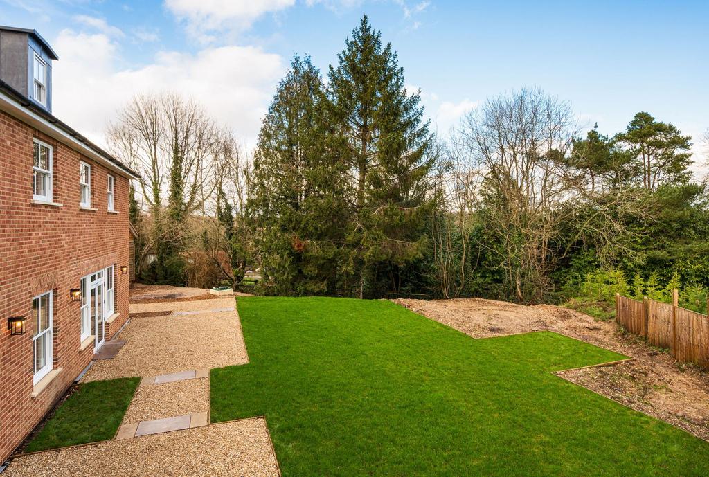 Back Garden