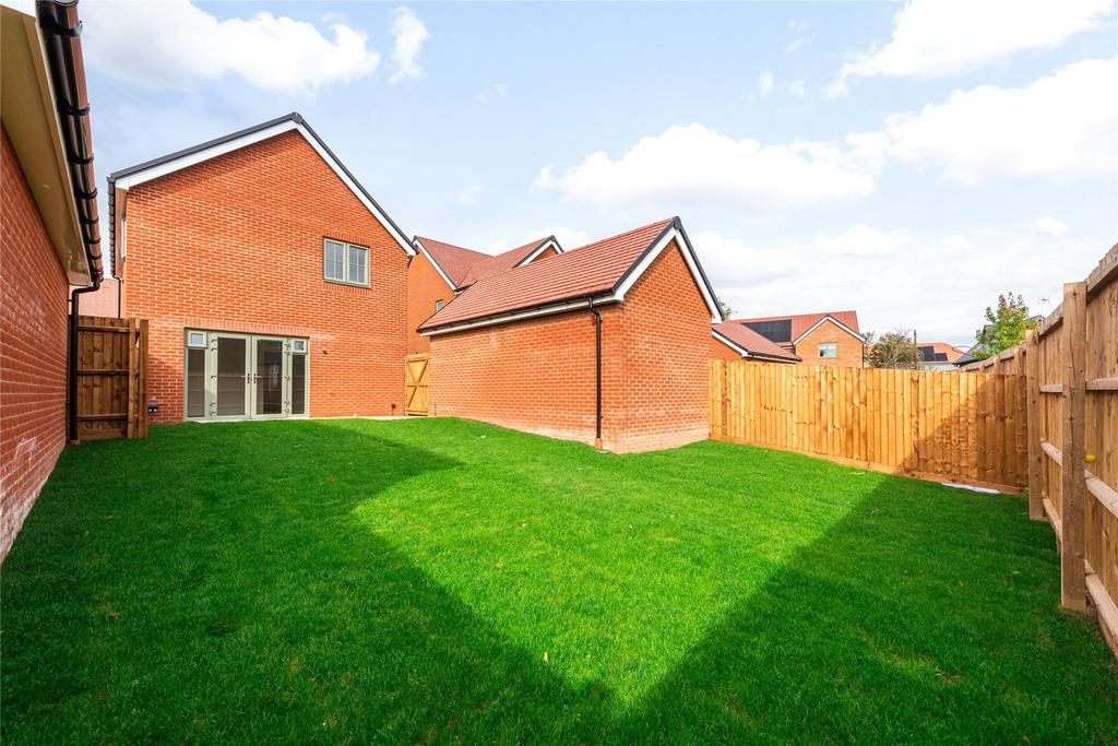 Rear Elevation