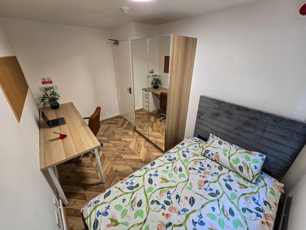 Whats App Image 2025-06-29 at 23.19.36 (11).jpeg