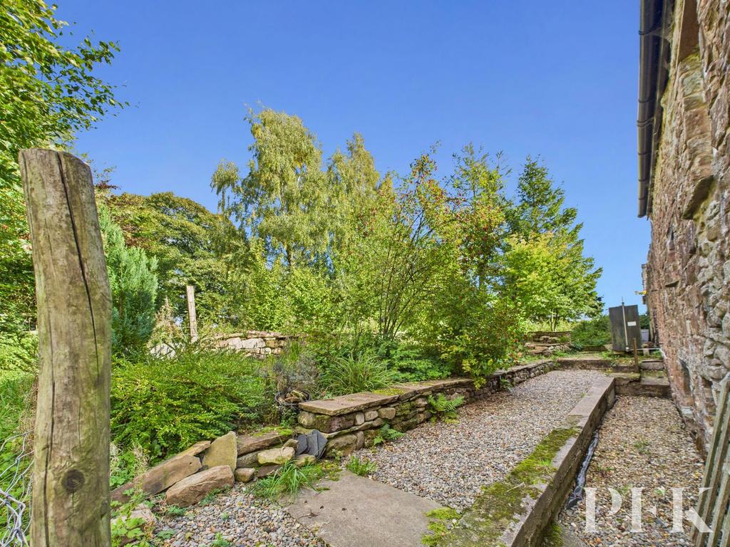 Rear Studio Garden
