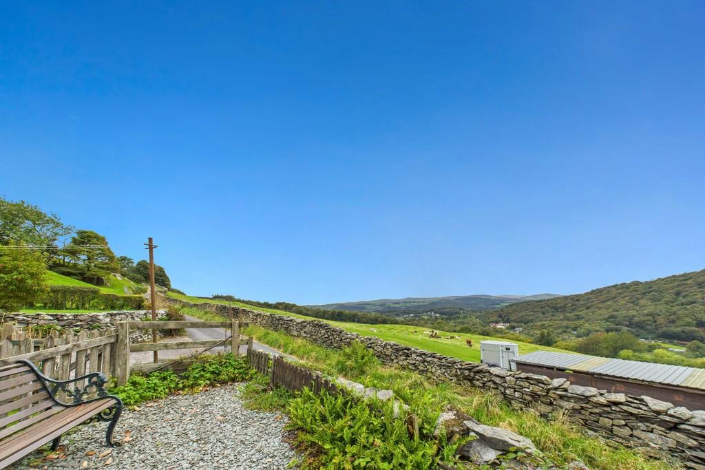 View from Patio Area
