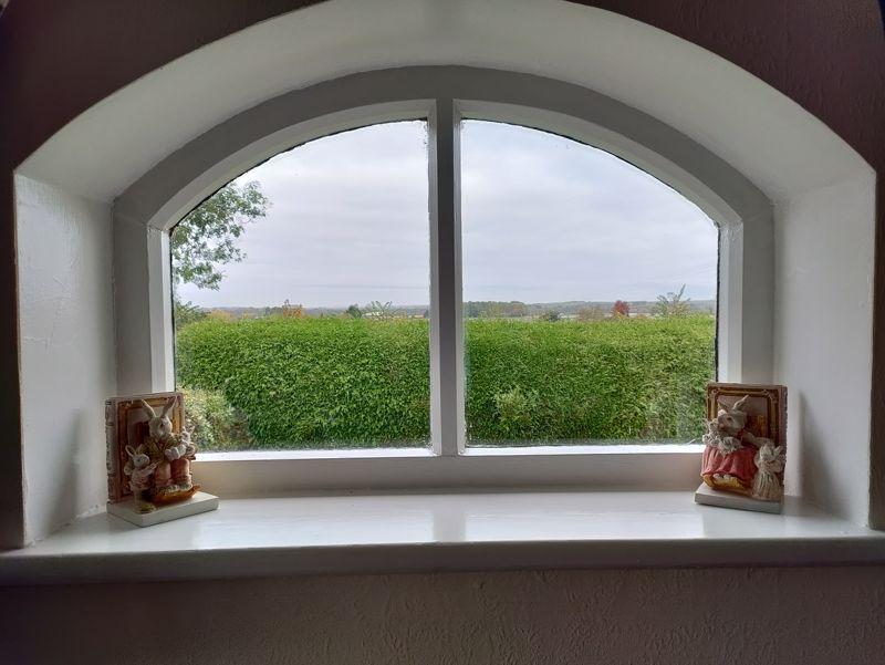 View from lounge