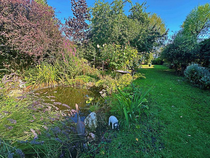 Pond
