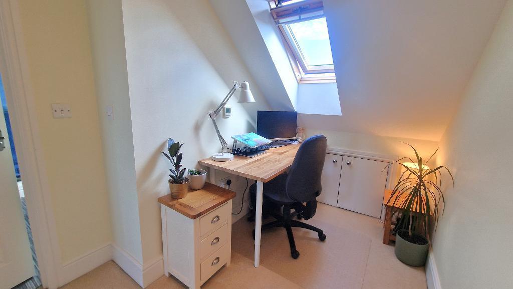 Study Area
