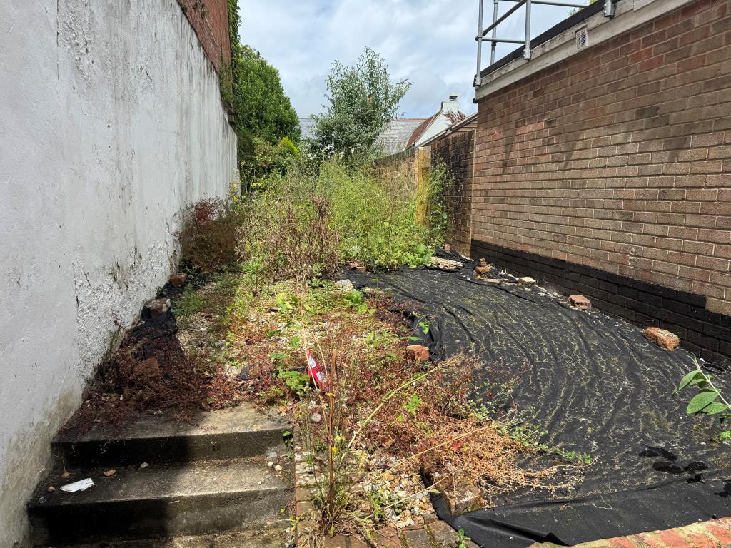 The Garden at the Rear in Need of Cultivation