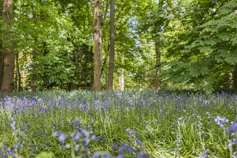 undefined, Epping Green, Hertfordshire SG13