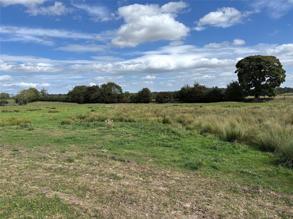 View and Land