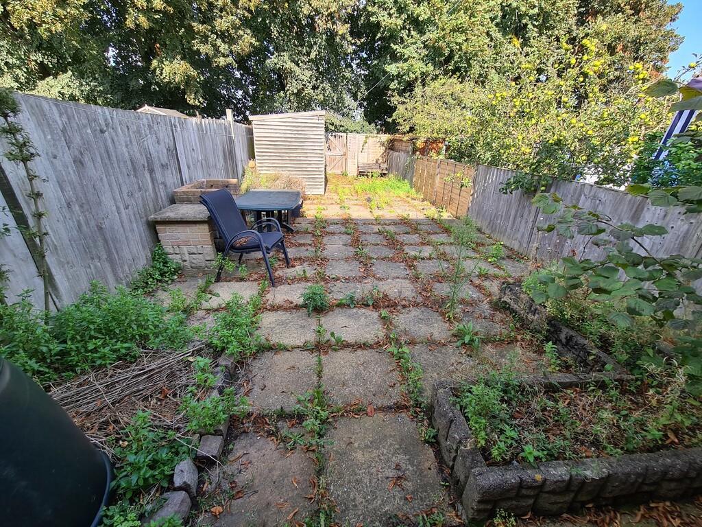 Back Garden