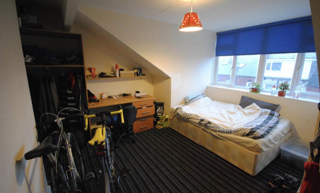 A cozy single bedroom featuring a large bed, am...