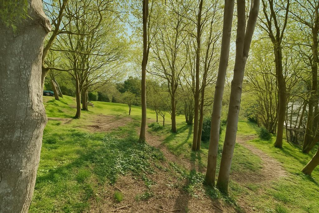 BC08 AC6 E-94 EE-4 A44-AB61-AA418 F78 CBD2.png