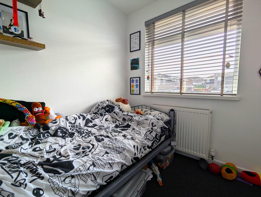 Photograph 10