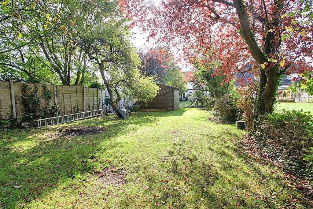 Garden 4.jpg