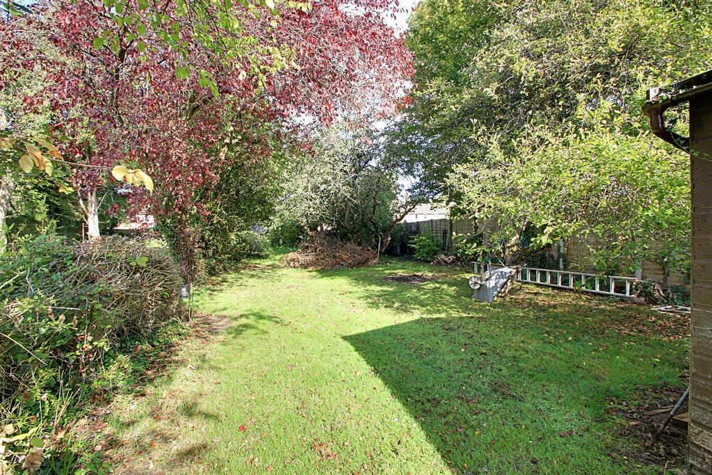 Garden 2.jpg